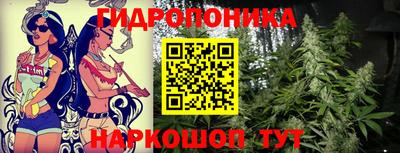 каннабис Новозыбков