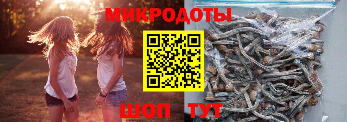 Ногинск  Галлюциногенные грибы Cubensis  Вход с VPN  где продают   Галлюциногенные грибы ЛСД 