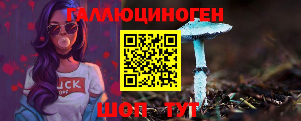 Псилоцибиновые грибы Psilocybine cubensis Ногинск